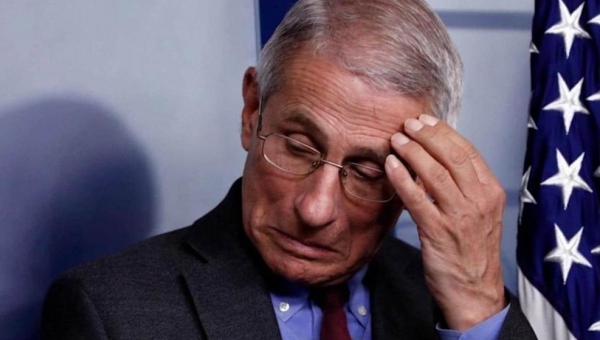 More lies laid straight at Dr. Fauci's feet