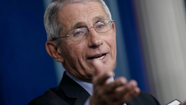 More Trouble for Fauci
