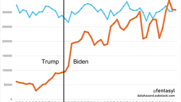 Biden's Re-(S)election Plan