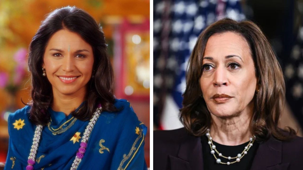 White House Attacking Harris' Political Rivals