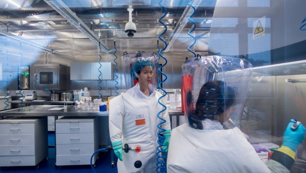 The Truth Comes Out on Controlyavirus